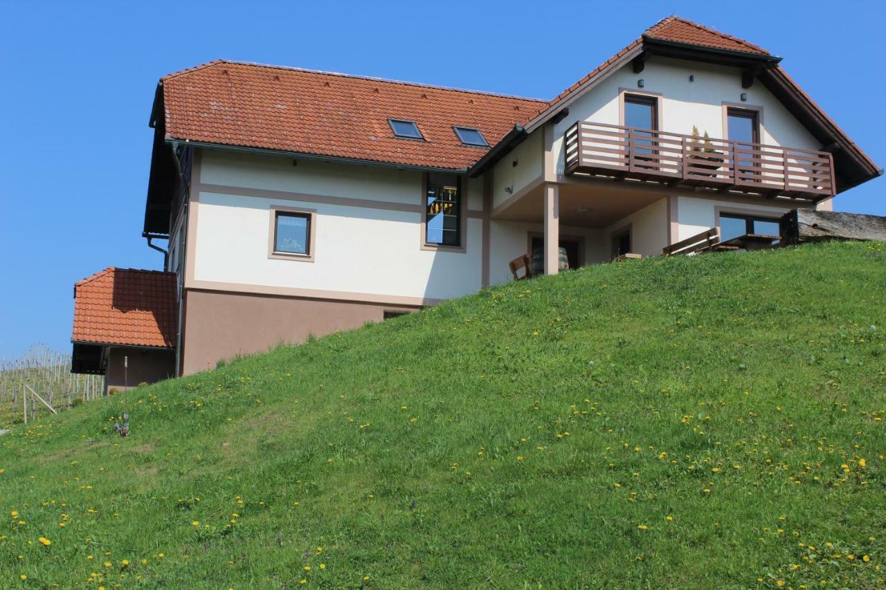 Vdovic Guest House Svecina 外观 照片